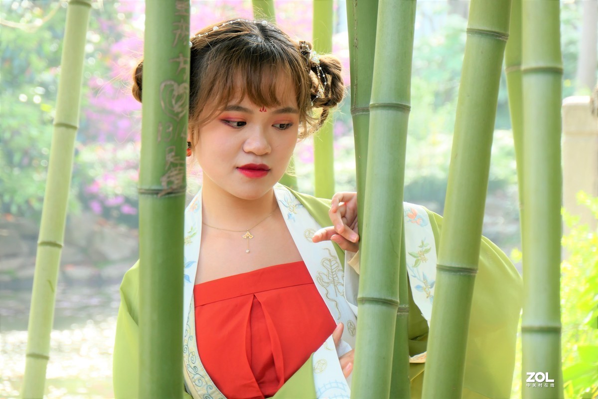 【竹林女孩-2】——摄于上海桂林公园