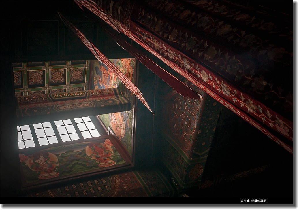 2020.11.20.【彩色的秋天】随拍