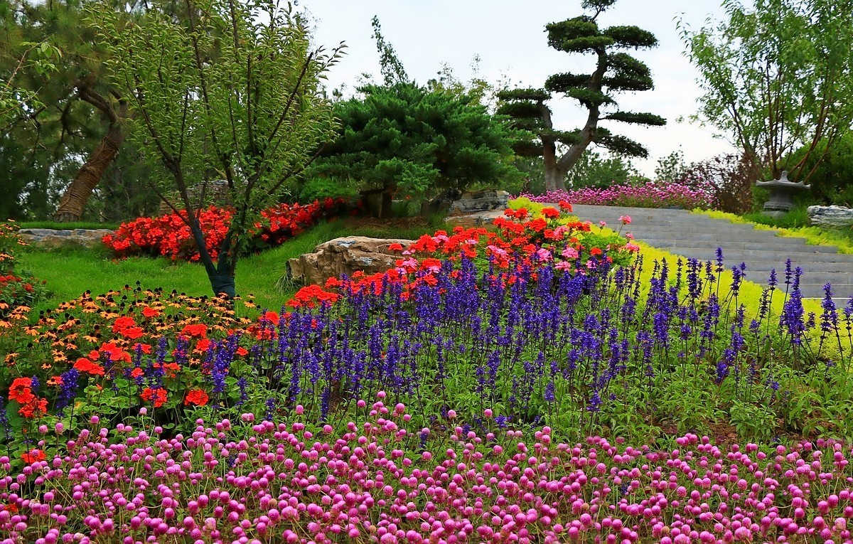 世园景观~花卉篇