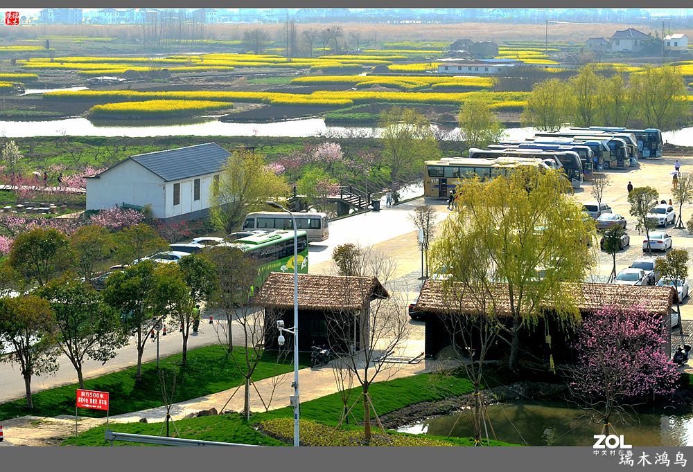 【游春记】5.梦回水乡  畅游千垛油菜花海