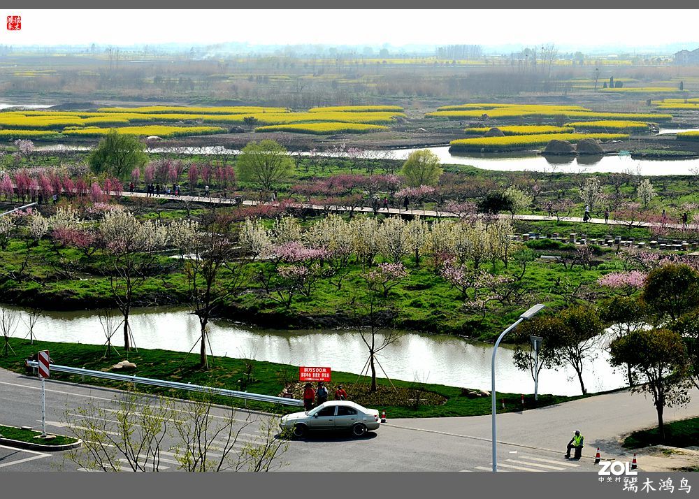 【游春记】5.梦回水乡  畅游千垛油菜花海