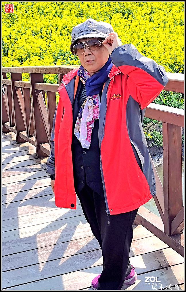 【游春记】5.梦回水乡  畅游千垛油菜花海