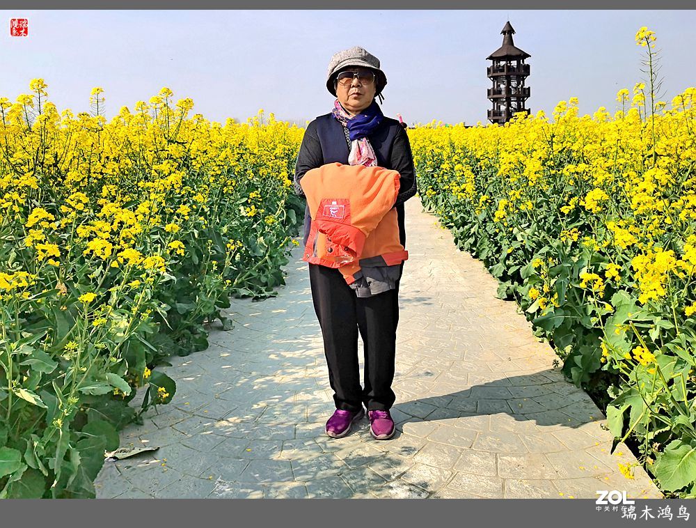 【游春记】5.梦回水乡  畅游千垛油菜花海