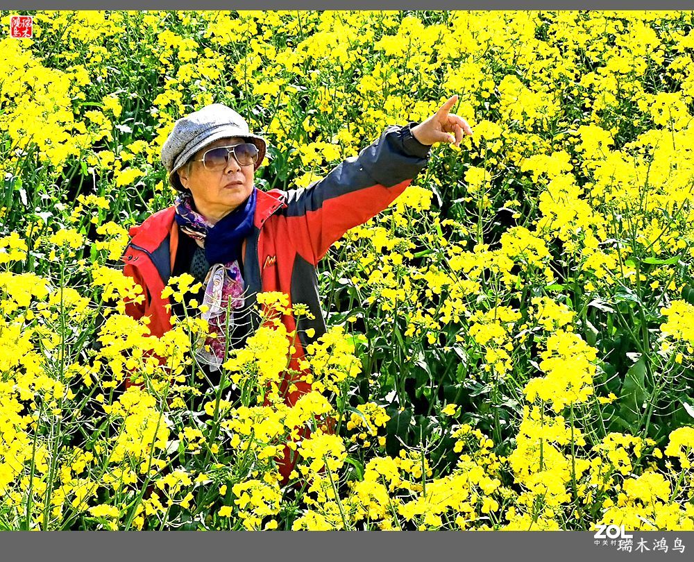 【游春记】5.梦回水乡  畅游千垛油菜花海