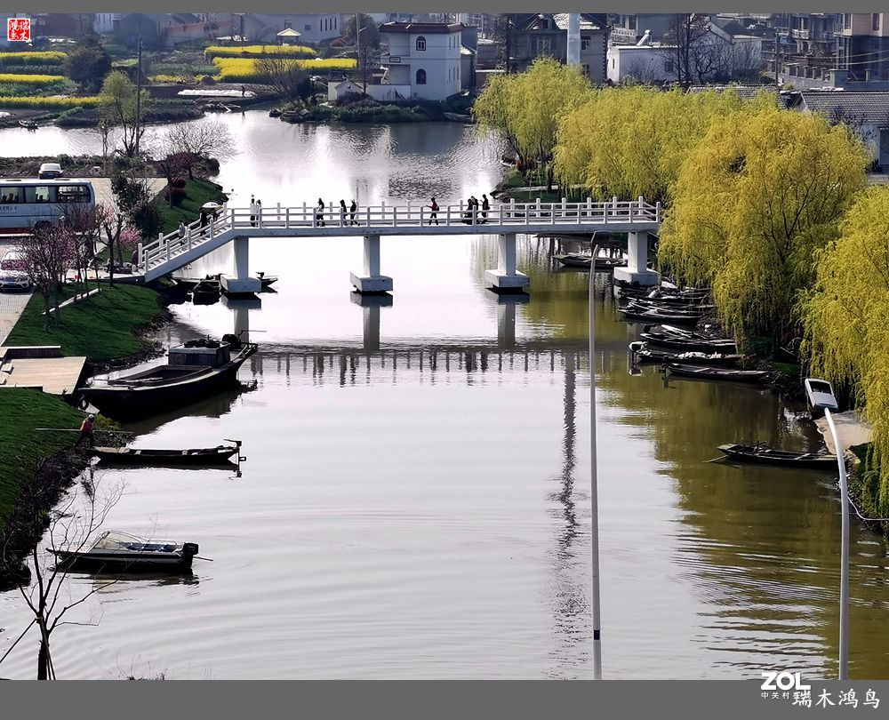 【游春记】5.梦回水乡  畅游千垛油菜花海