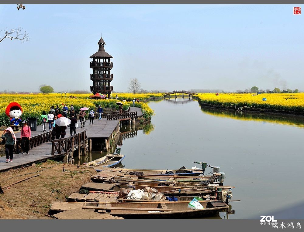 【游春记】5.梦回水乡  畅游千垛油菜花海