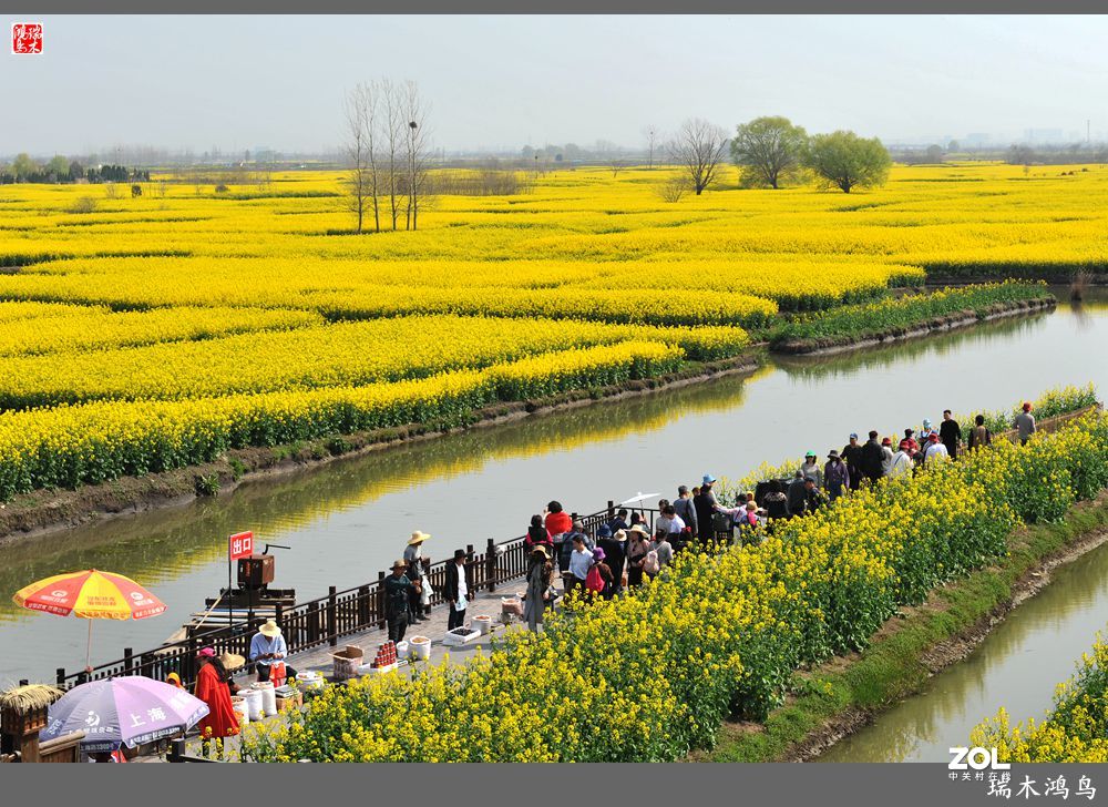 【游春记】5.梦回水乡  畅游千垛油菜花海