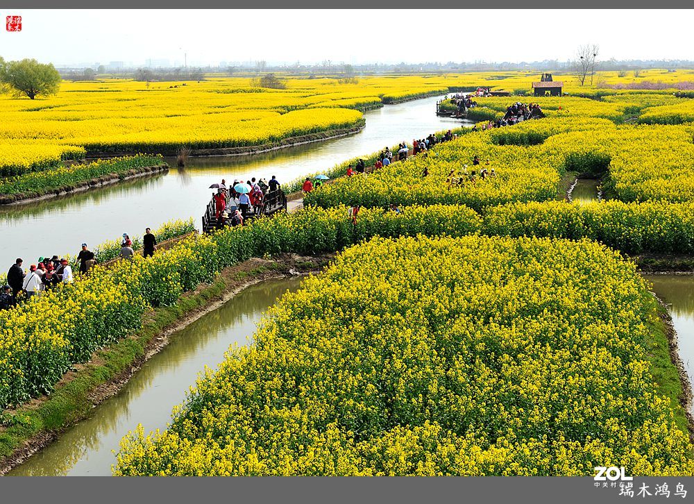 【游春记】5.梦回水乡  畅游千垛油菜花海