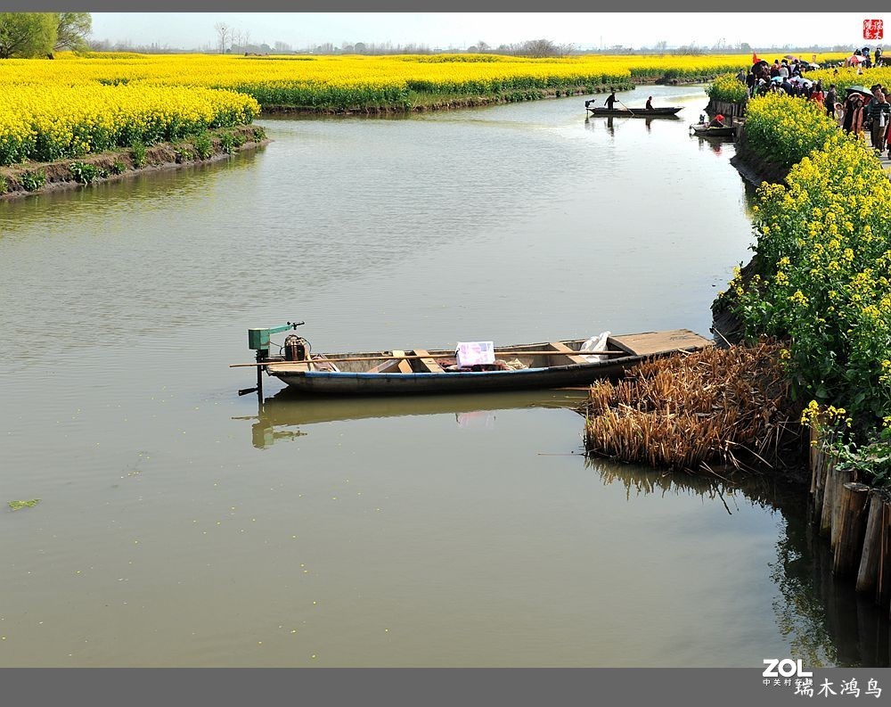 【游春记】5.梦回水乡  畅游千垛油菜花海