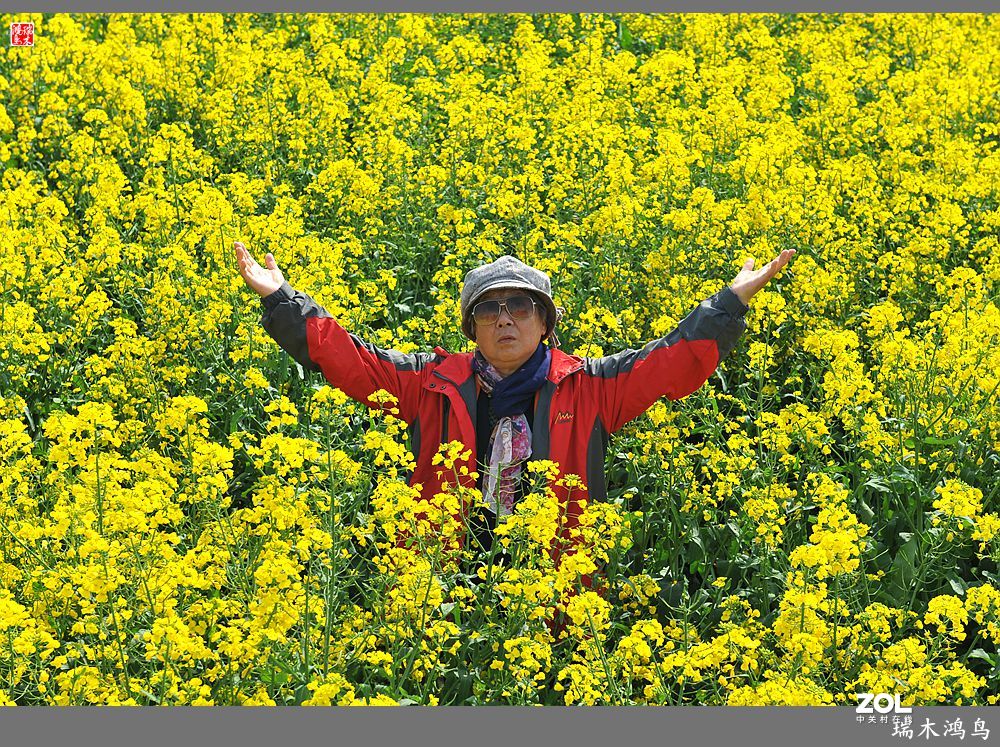 【游春记】5.梦回水乡  畅游千垛油菜花海