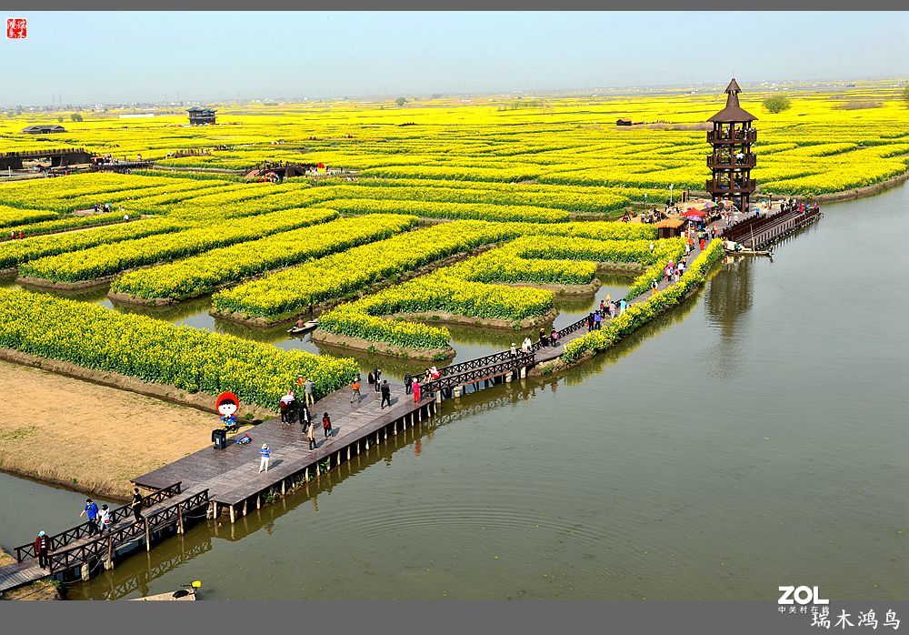 【游春记】5.梦回水乡  畅游千垛油菜花海
