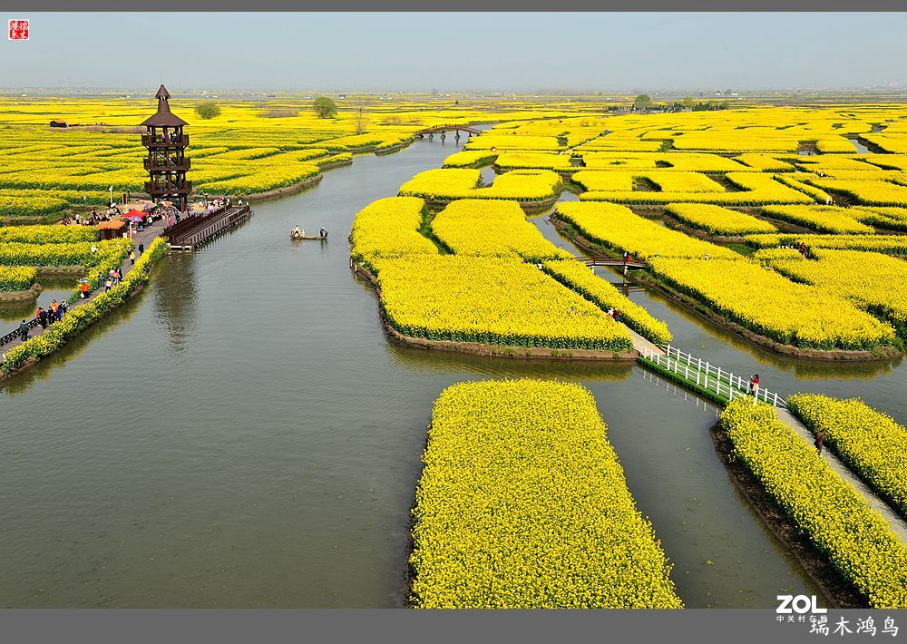 【游春记】5.梦回水乡  畅游千垛油菜花海