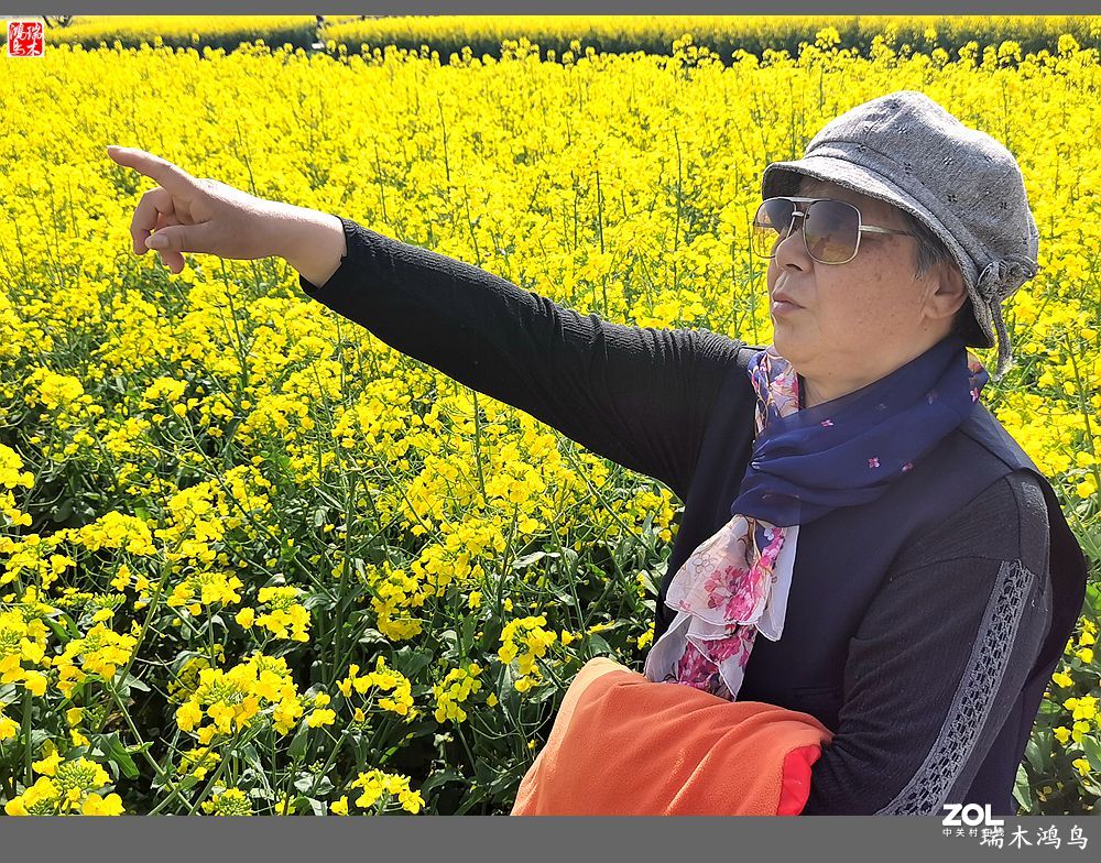 【游春记】5.梦回水乡  畅游千垛油菜花海