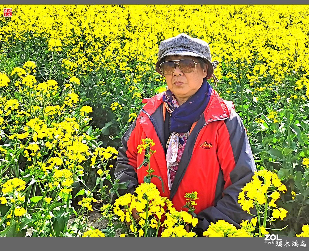 【游春记】5.梦回水乡  畅游千垛油菜花海