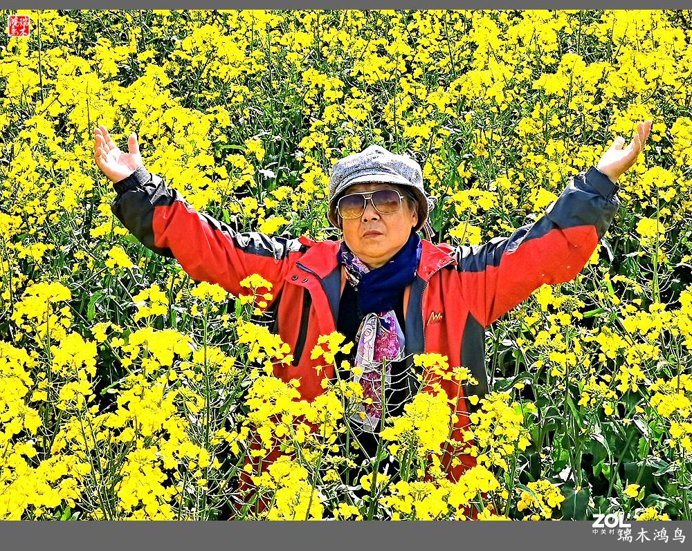 【游春记】5.梦回水乡  畅游千垛油菜花海