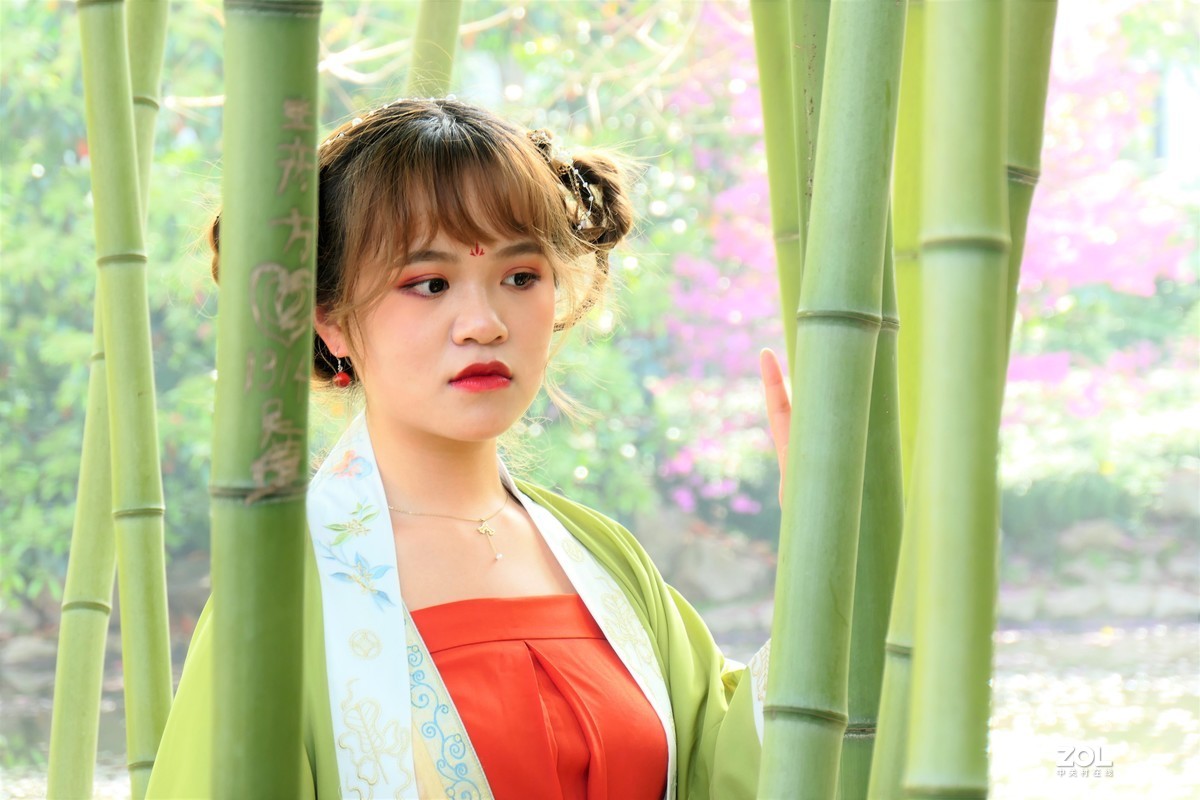 【竹林女孩-2】——摄于上海桂林公园