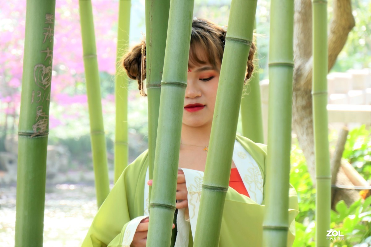 【竹林女孩-2】——摄于上海桂林公园