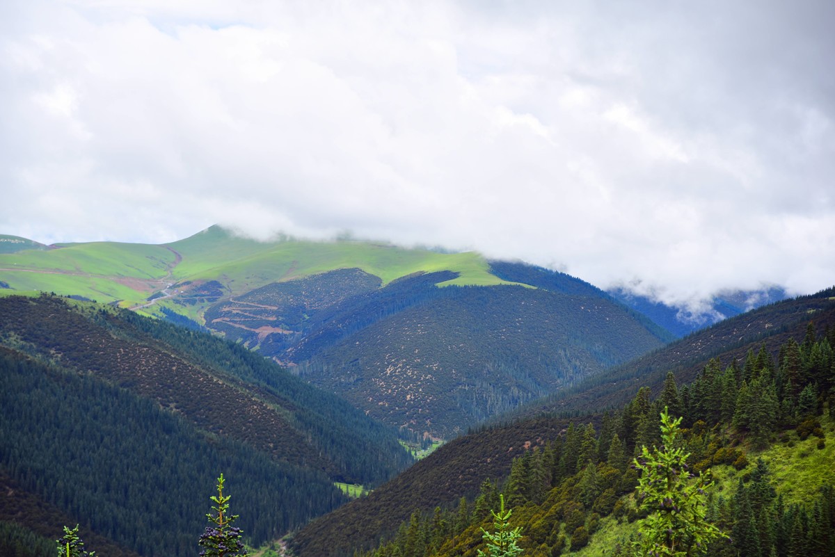 剪子弯山一（D750+腾龙A007）