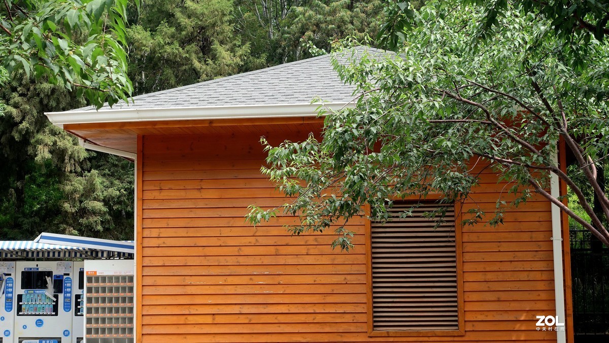 北京陶然亭公园绿色风景