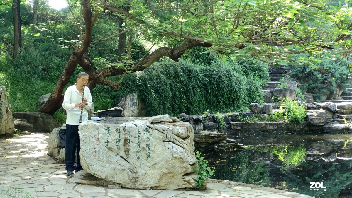 北京陶然亭公园绿色风景