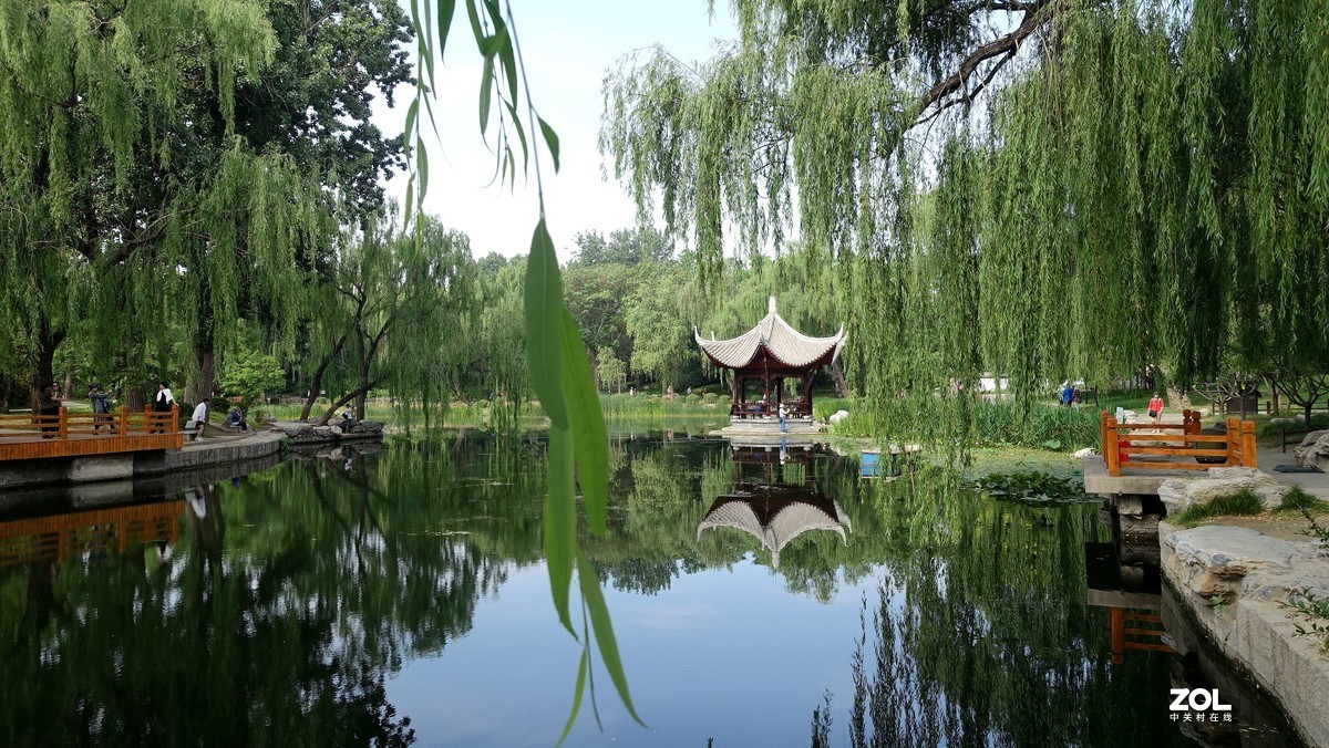 北京陶然亭公园绿色风景