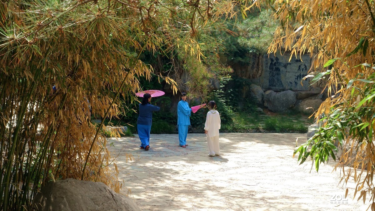 北京陶然亭公园绿色风景