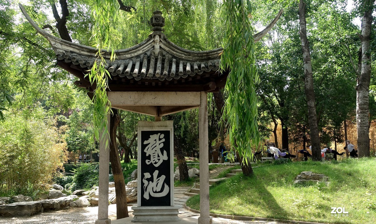 北京陶然亭公园绿色风景