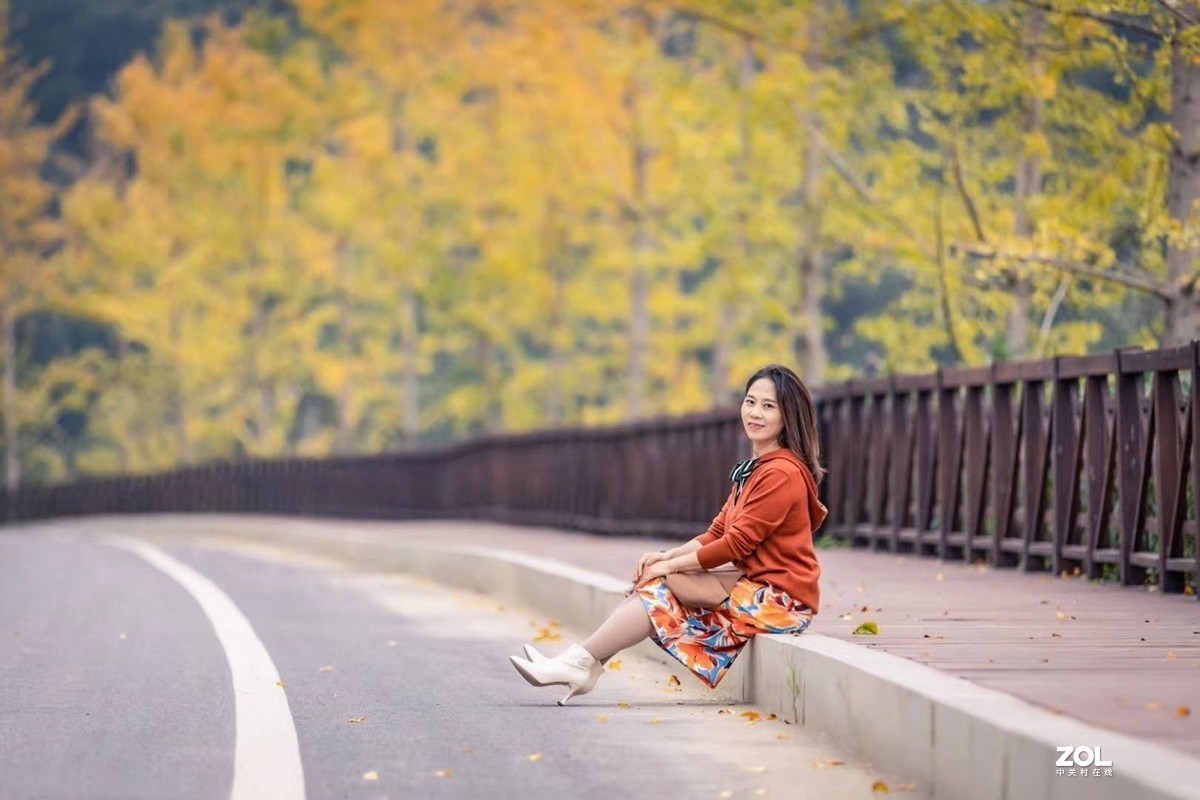 走在银杏道上