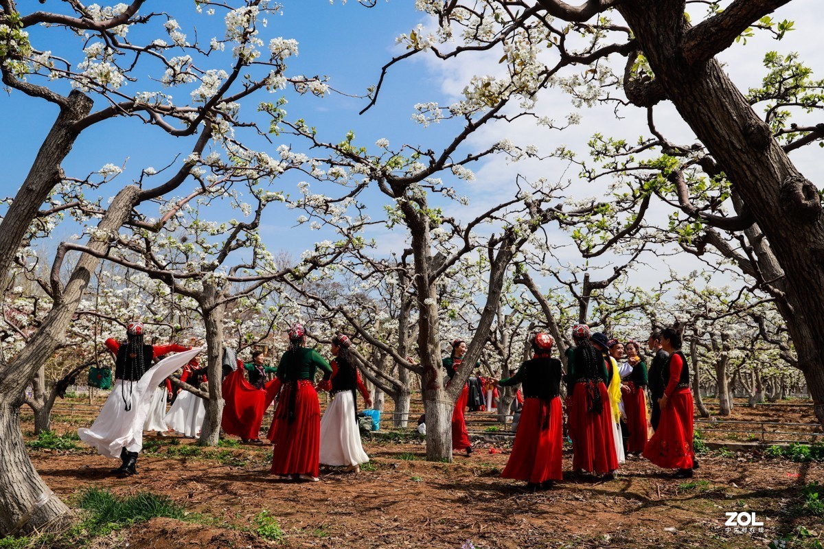 2021年北京房山梨花节图片