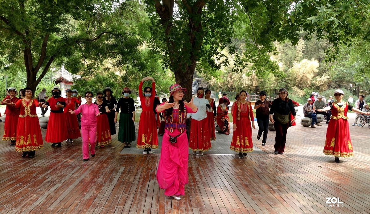 北京陶然亭公园绿色风景