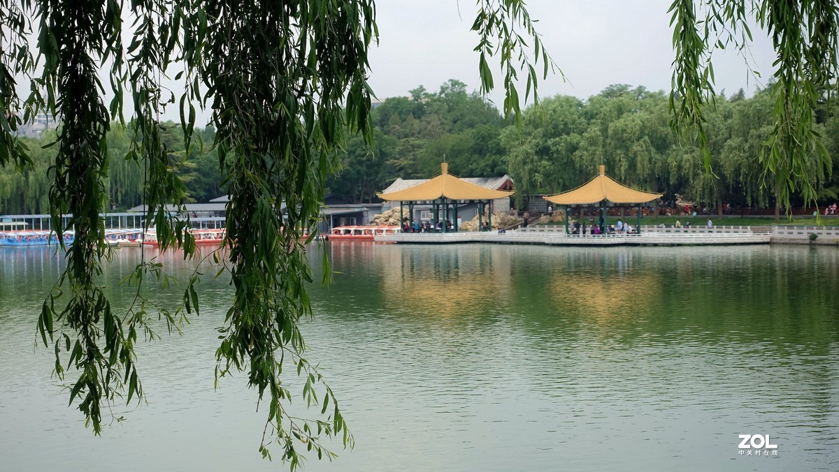 北京陶然亭公园绿色风景