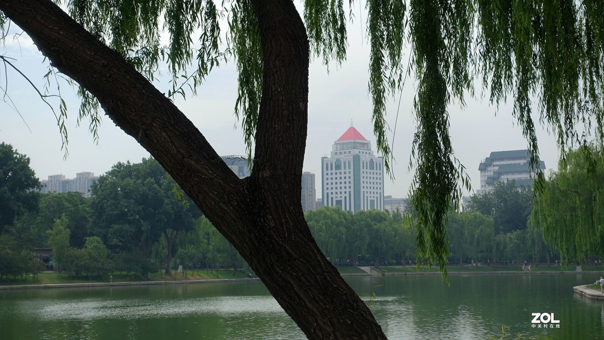 北京陶然亭公园绿色风景