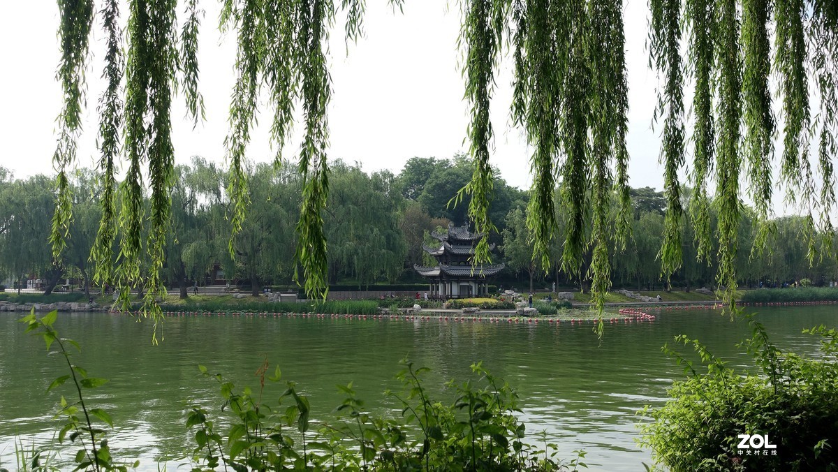 北京陶然亭公园绿色风景