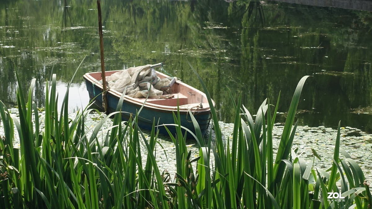 北京陶然亭公园绿色风景