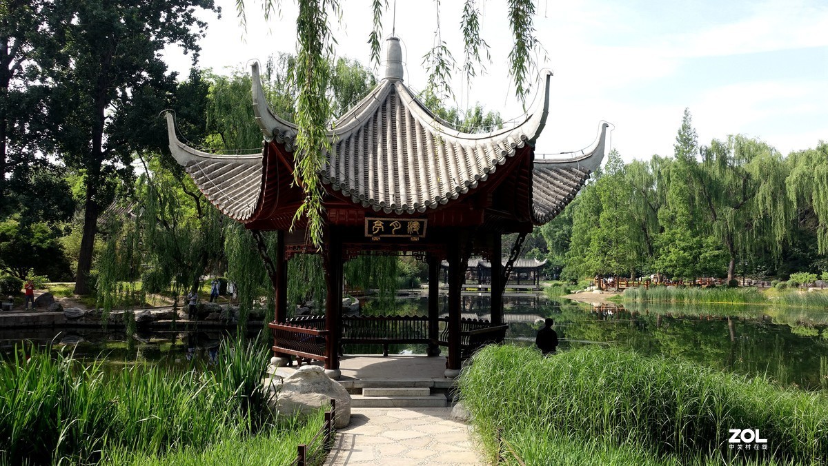 北京陶然亭公园绿色风景