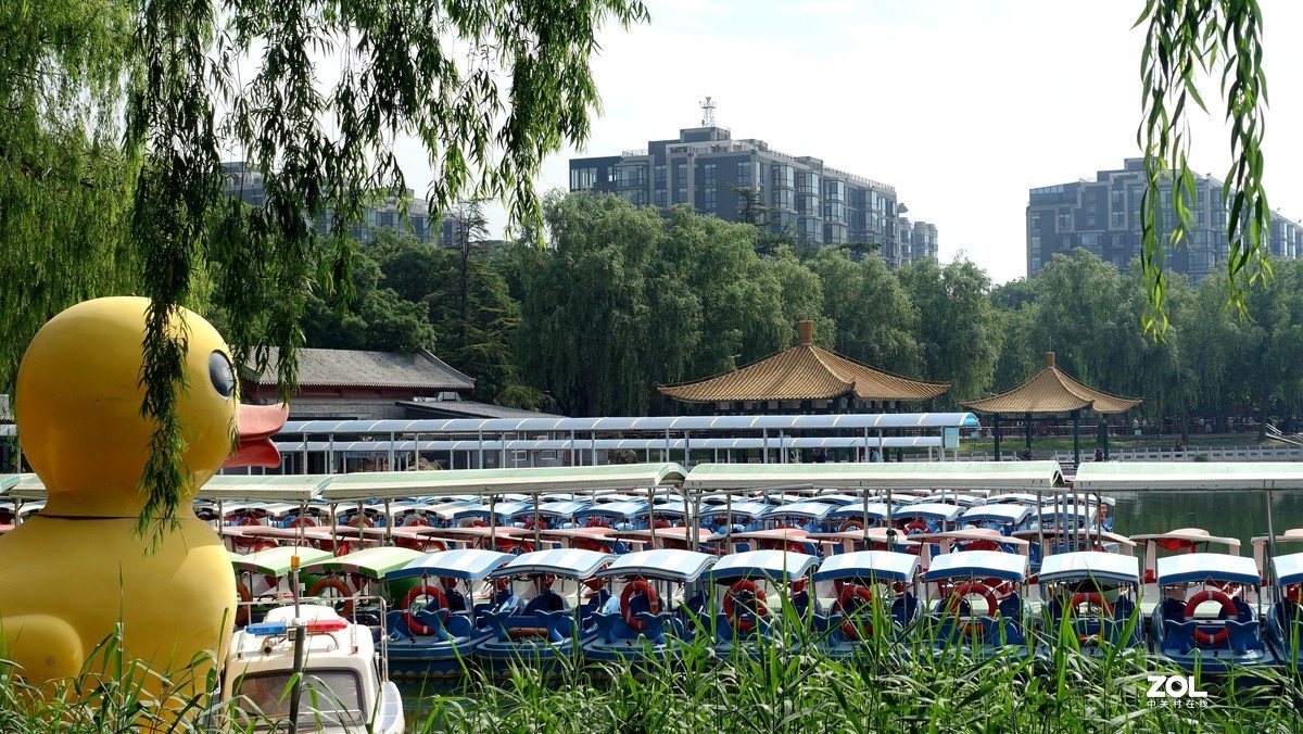 北京陶然亭公园绿色风景