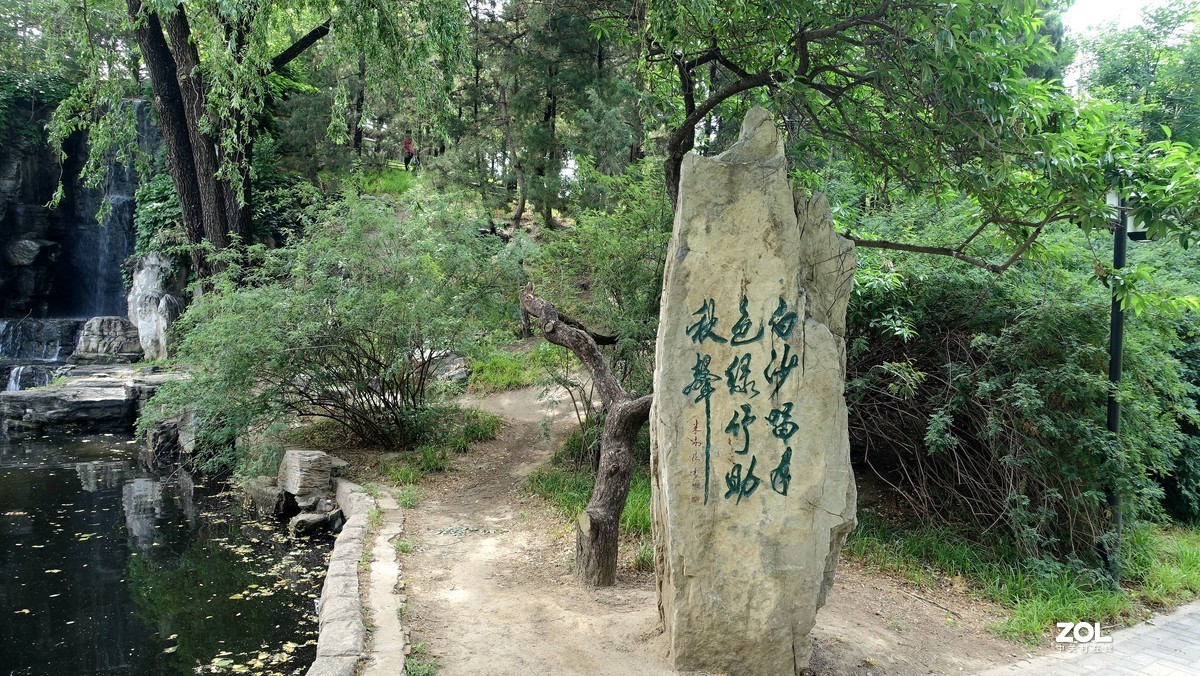 北京陶然亭公园绿色风景