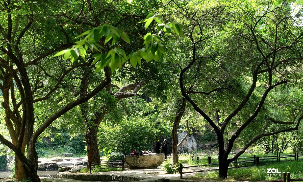 北京陶然亭公园绿色风景