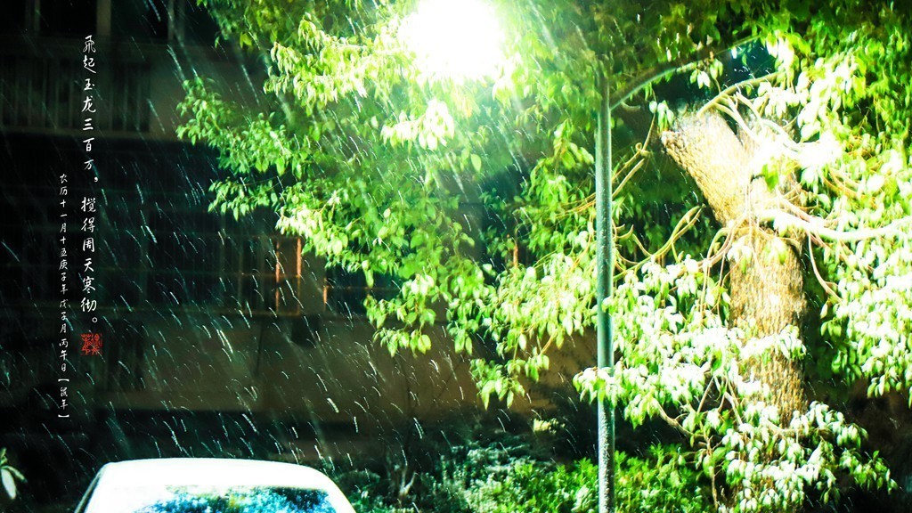 飞起玉龙三百万，搅得周天寒彻。