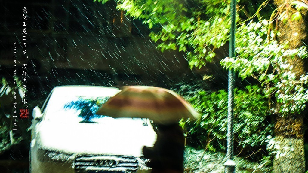 飞起玉龙三百万，搅得周天寒彻。