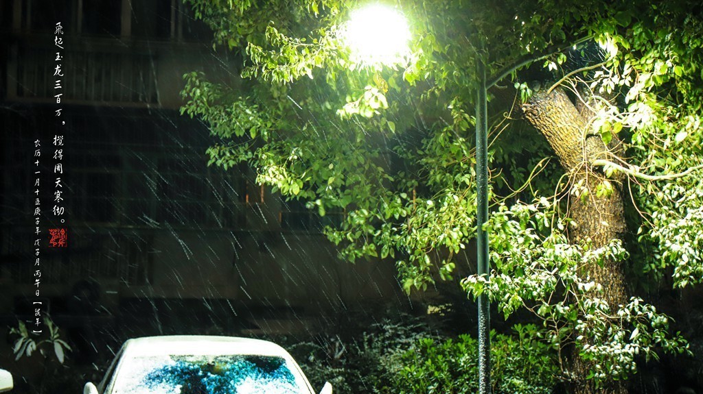 飞起玉龙三百万，搅得周天寒彻。