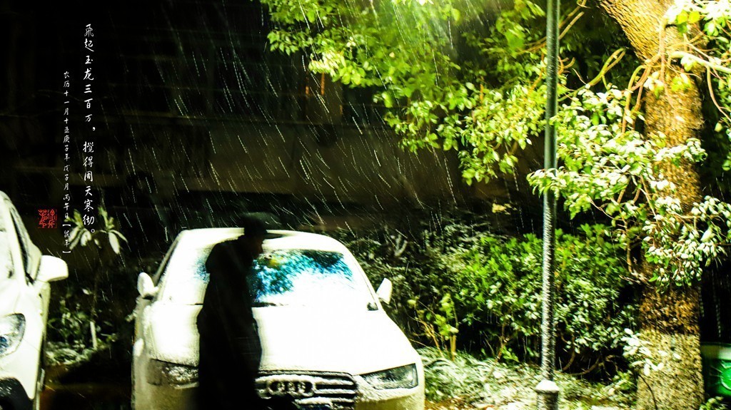 飞起玉龙三百万，搅得周天寒彻。