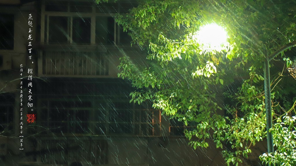 飞起玉龙三百万，搅得周天寒彻。