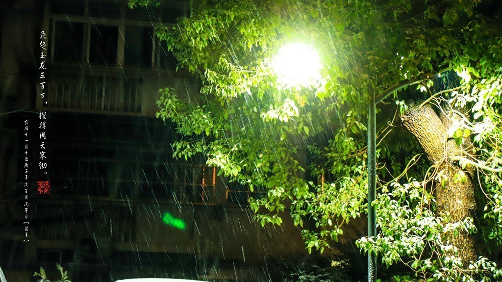 飞起玉龙三百万，搅得周天寒彻。