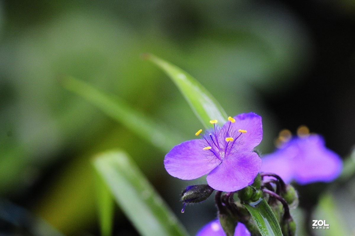 #版主坐堂#小五星空(中国)2021年7月精品荟萃