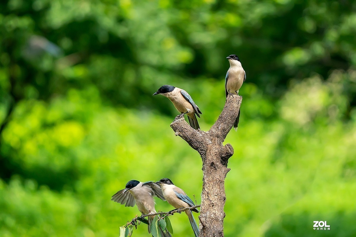 #版主坐堂#小五星空(中国)2021年7月精品荟萃