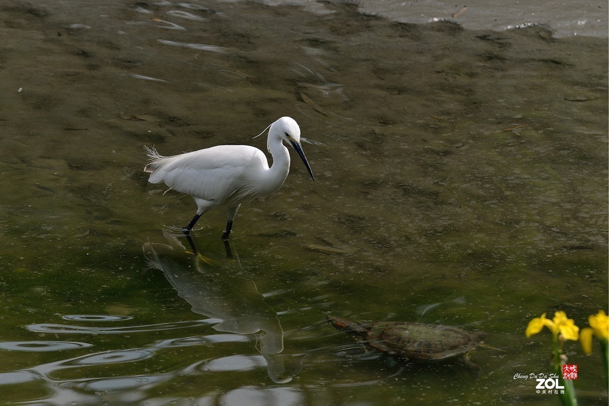#版主坐堂#小五星空(中国)2021年7月精品荟萃