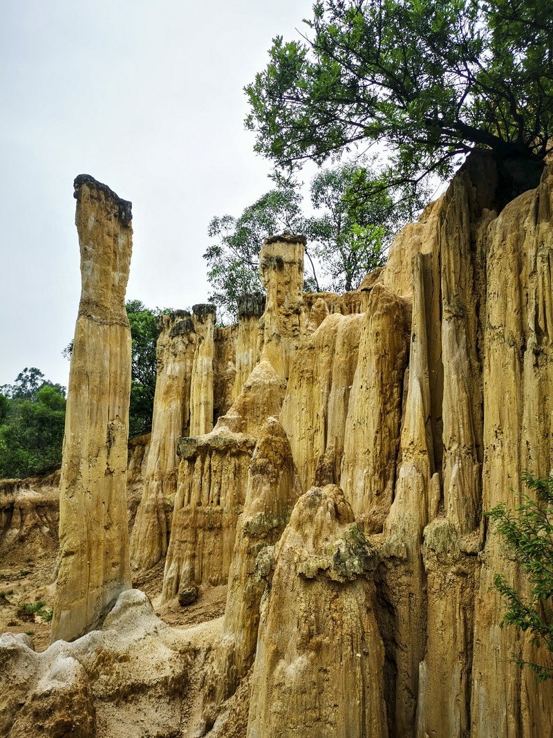 手机版一西昌黄联土林