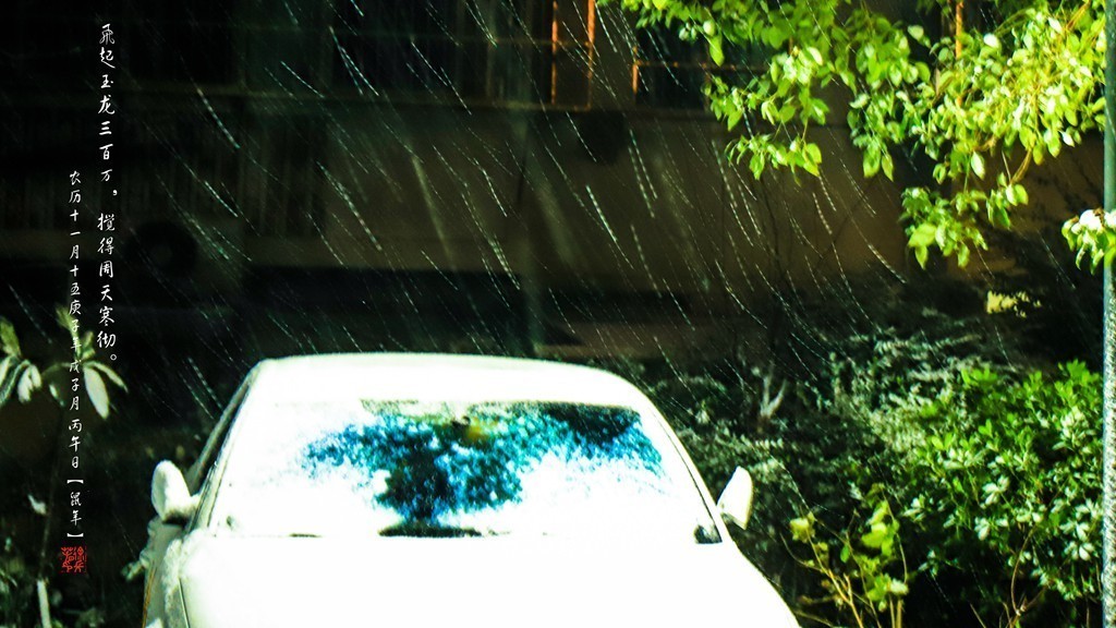 飞起玉龙三百万，搅得周天寒彻。