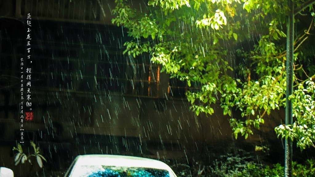 飞起玉龙三百万，搅得周天寒彻。